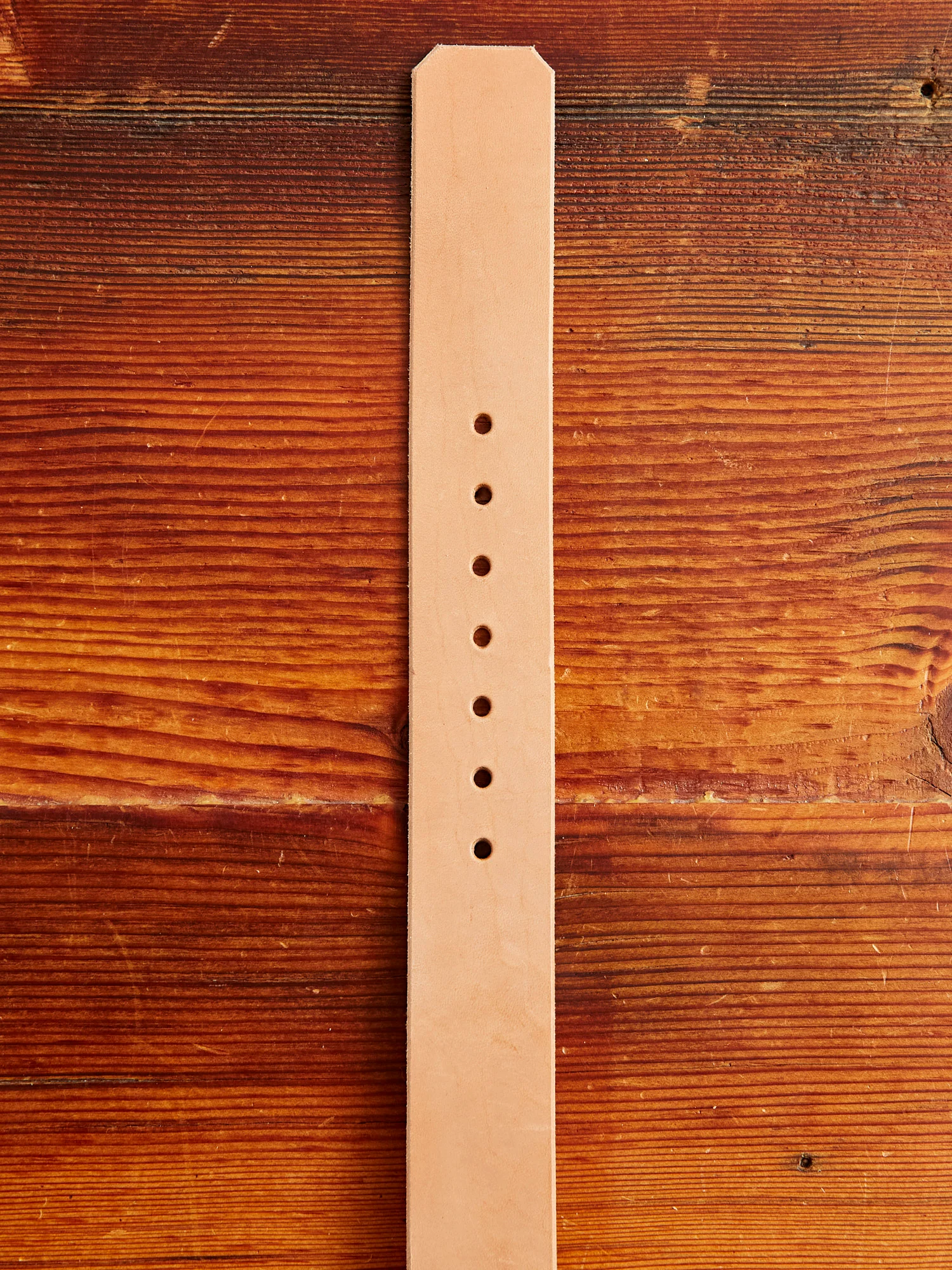 "Wenatchee Belt" in Vegetable Tanned Horse Hide - Image 5